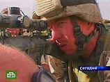 В ГИБДД Свердловской области утверждают, что их сайт заблокирован из-за DDoS-атаки, а не из-за всплеска общественного интереса В ГИБДД Свердловской области утверждают, что их сайт заблокирован из-за DDoS-атаки, а не из-за всплеска общественного интереса