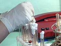 "Экомебель". Эстетика экологичного пространства. "Экомебель". Эстетика экологичного пространства.