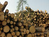По наиболее &#171;чувствительным&#187; для финской промышленности сортам древесины (сосна и береза) Россия готова была на компромисс: отложить введение пошлин до 2011 года
