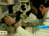 Тревога в США: больной редким видом туберкулеза мог заразить сотни человек в США, Канаде и Европе Тревога в США: больной редким видом туберкулеза мог заразить сотни человек в США, Канаде и Европе
