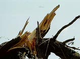 Ураган в Башкирии обесточил целый район и сорвал крыши с жилых домов Ураган в Башкирии обесточил целый район и сорвал крыши с жилых домов