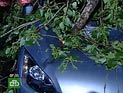 Lexus рассекретил новое поколение бизнес-седана GS (ВИДЕО) Lexus рассекретил новое поколение бизнес-седана GS (ВИДЕО)