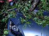 МЧС прогнозирует на выходные в Москве ЧП и несчастные случаи МЧС прогнозирует на выходные в Москве ЧП и несчастные случаи