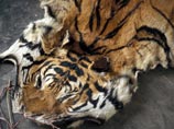 Власти Китая оставили в силе запрет на лекарства из внутренних органов и других частей тела тигров