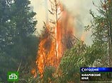 30-градусная жара в Хабаровском крае обострила пожароопасную ситуацию. Как сообщили ИТАР-ТАСС в диспетчерской службе Дальневосточной авиабазы охраны лесов "в крае зафиксировано 29 лесных пожаров на общей площади 7 тысяч 235 гектаров