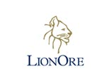 "Норникель" предлагает акционерам LionOre 27,5 канадского доллара за акцию (в общей сложности 6,8 млрд канадских долларов, 6,3 млрд долларов США за 100% акций) "Норникель" предлагает акционерам LionOre 27,5 канадского доллара за акцию (в общей сложности 6,8 млрд канадских долларов, 6,3 млрд долларов США за 100% акций)