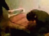 Видеоролики пыток, снятые "кадыровцами", попали в британскую прессу Видеоролики пыток, снятые "кадыровцами", попали в британскую прессу