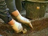 Против властей Эстонии поданы иски за "гробокопательство" и клевету Против властей Эстонии поданы иски за "гробокопательство" и клевету