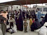После вторжения США в Ирак из страны бежали 2,2 миллиона человек После вторжения США в Ирак из страны бежали 2,2 миллиона человек