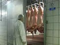Два бывших узника концлагеря получат жилье в Ленобласти, несмотря на сопротивление чиновников Два бывших узника концлагеря получат жилье в Ленобласти, несмотря на сопротивление чиновников