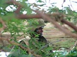 Войска Шри-Ланки разгромили четыре лагеря тамильских сепаратистов, убив более 30 боевиков