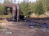В Ростовской  области из нефтепровода вылилось 10 тонн нефти
