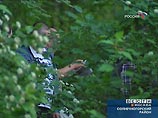 "Лаборатория Касперского" устроила пользователям "единство двух миров" "Лаборатория Касперского" устроила пользователям "единство двух миров"