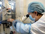 В ходе опытов во время кормления тараканов сахарным сиропом им предъявлялся стимул - специально выбранный запах. В ходе опытов во время кормления тараканов сахарным сиропом им предъявлялся стимул - специально выбранный запах.