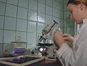 Аналитики подсчитали, насколько завышена стоимость жилья в Швейцарии Аналитики подсчитали, насколько завышена стоимость жилья в Швейцарии