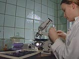 Россия запретила ввоз продовольствия с ряда предприятий Европы и Кореи Россия запретила ввоз продовольствия с ряда предприятий Европы и Кореи