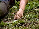 На Сахалине раскрыто жестокое двойное убийство На Сахалине раскрыто жестокое двойное убийство