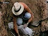 Цигерт обнаружил на древних стоянках Homo erectus останки каменных жилищ и инструменты, созданные прямоходящим человеком для ловли рыбы и разделки мяса.