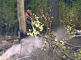 В Рязанской области возник крупнейший в Центральном округе РФ лесоторфяной пожар
