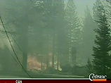 В Калифорнии бушуют лесные пожары: сгорели 220 домов, 1000 человек эвакуированы