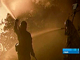 В Калифорнии четвертый день пылают леса: сгорели 250 домов, продолжается эвакуация людей
