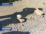 Zagato представила свой вариант купе от BMW (ВИДЕО) Zagato представила свой вариант купе от BMW (ВИДЕО)