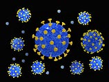 Современные методы лечения "чумы ХХ века" основываются на подавлении вируса ВИЧ с тем, чтобы отсрочить начало заболевания СПИДом и тем самым существенно увеличить продолжительность жизни инфицированных больных