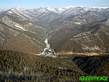 Активисты считают, что строительство олимпийских объектов в Сочи угрожает флоре и фауне Сочинского национального парка и Кавказского биосферного заповедника