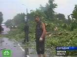Британская пара несколько лет прятала свой роскошный дом в сарае для сена Британская пара несколько лет прятала свой роскошный дом в сарае для сена