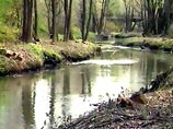 Минприроды: в загрязнении солодом  притоков Москва-реки виноват Очаковский пивзавод