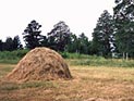 В связи с запретом на зарубежную недвижимость некоторые сенаторы могут покинуть Совет Федерации В связи с запретом на зарубежную недвижимость некоторые сенаторы могут покинуть Совет Федерации