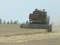 "Электронную татуировку" можно будет использовать для чтения мыслей "Электронную татуировку" можно будет использовать для чтения мыслей