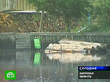 Чрезвычайная ситуация объявлена в затопленных районах Амурской области Чрезвычайная ситуация объявлена в затопленных районах Амурской области