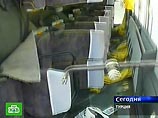 Кошка прожила в двигателе две недели. Хозяйка ездила как обычно, пока не открыла капот. ВИДЕО Кошка прожила в двигателе две недели. Хозяйка ездила как обычно, пока не открыла капот. ВИДЕО