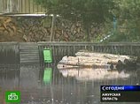 Сенатор Межевич о ЧП на реке Зея: надо восстанавливать метеорологическое прогнозирование, а не искать крайних Сенатор Межевич о ЧП на реке Зея: надо восстанавливать метеорологическое прогнозирование, а не искать крайних