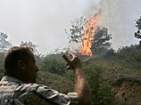Европе грозит экологическая катастрофа: сотни погибших, тысячи госпитализированных, ущерб на миллионы евро Европе грозит экологическая катастрофа: сотни погибших, тысячи госпитализированных, ущерб на миллионы евро