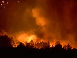 Горящий юг Италии объявлен "зоной стихийного бедствия". В поджогах подозревают мафию Горящий юг Италии объявлен "зоной стихийного бедствия". В поджогах подозревают мафию