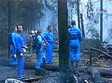 По факту крушения Ан-12 в Домодедово возбуждено уголовное дело По факту крушения Ан-12 в Домодедово возбуждено уголовное дело