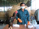 Еще один человек скончался от птичьего гриппа во Вьетнаме