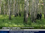 Поиски двух девочек, пропавших на Урале, шли по ложному следу. Спасатели развернулись обратно Поиски двух девочек, пропавших на Урале, шли по ложному следу. Спасатели развернулись обратно