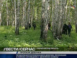 На поиски девочек, потерявшихся в лесу на Урале, отправлен второй вертолет МЧС