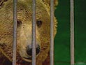 В Москве разоблачают "лжедольщиков": на один дом более 60 фальсификаций В Москве разоблачают "лжедольщиков": на один дом более 60 фальсификаций