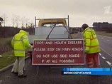 В американские школы хотят трудоустроить дроидов-патрульных, чтобы они выслеживали стрелков (ВИДЕО) В американские школы хотят трудоустроить дроидов-патрульных, чтобы они выслеживали стрелков (ВИДЕО)