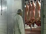 В Россию запрещен ввоз животноводческой продукции из Британии из-за вспышки ящура