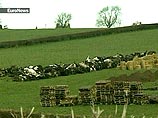 В Россию запрещен ввоз животноводческой продукции из Британии из-за вспышки ящура В Россию запрещен ввоз животноводческой продукции из Британии из-за вспышки ящура