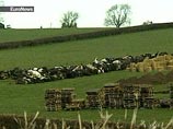 В воскресенье из профилактических соображений "были уничтожены еще около 40 животных на смежной ферме В воскресенье из профилактических соображений "были уничтожены еще около 40 животных на смежной ферме