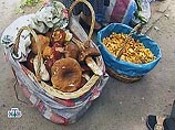 Жителей Удмуртии хотят принудить ходить по грибы и по ягоды с лицензиями