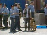 МВД РФ предотвратило теракт во время тренировки с сотрудниками Центризбиркома МВД РФ предотвратило теракт во время тренировки с сотрудниками Центризбиркома