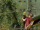 В Таганроге из-за урагана без света остались около четырех тысяч человек В Таганроге из-за урагана без света остались около четырех тысяч человек