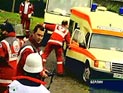 В Пенсильвании ястреб заклевал женщину до потери сознания, когда она решила помыть машину В Пенсильвании ястреб заклевал женщину до потери сознания, когда она решила помыть машину